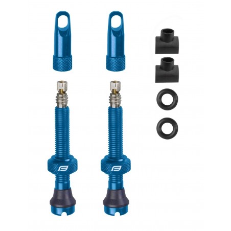 Set Valve Tubeless Force...